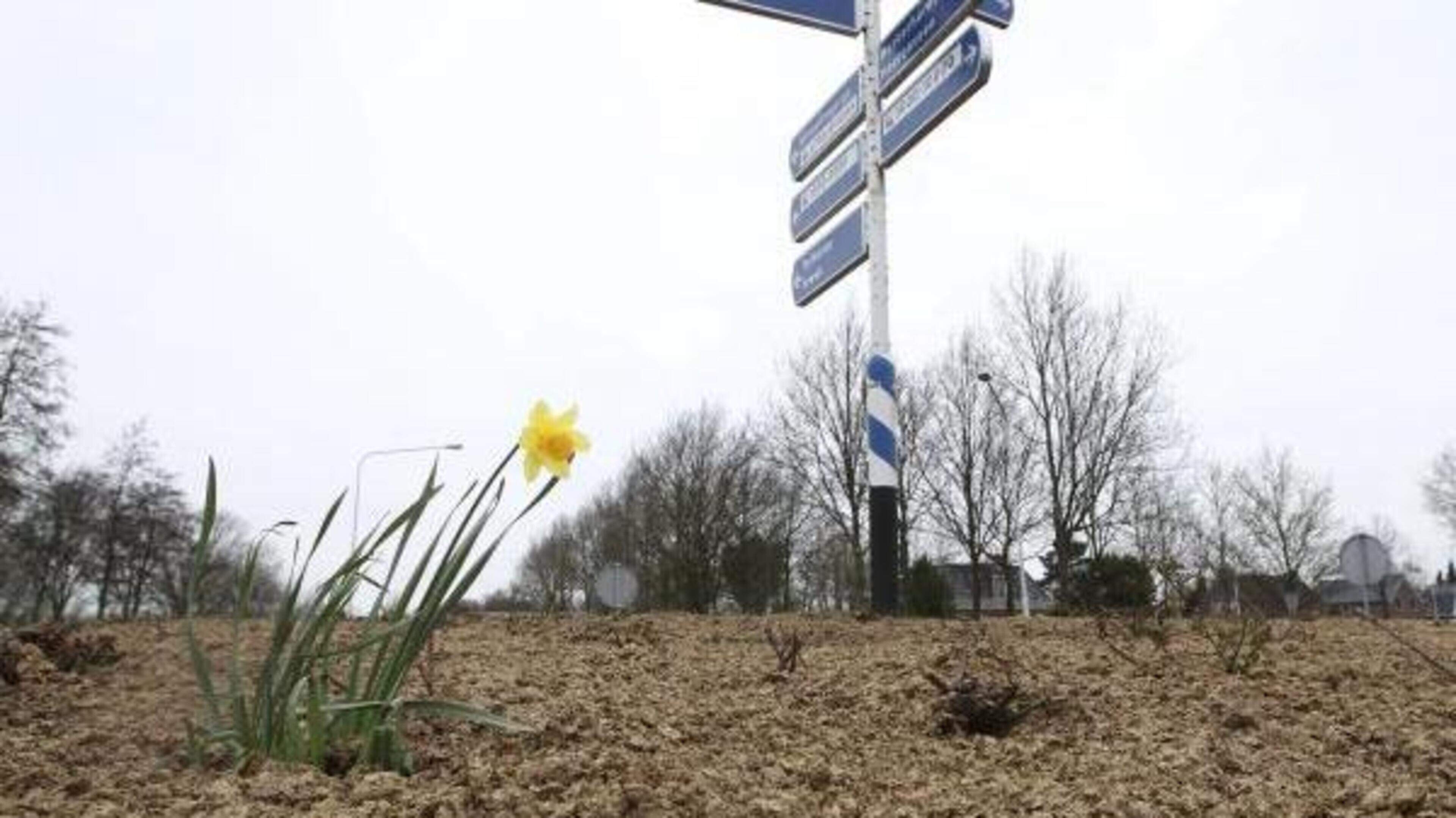 Toerist flink duurder uit in Skarsterlân