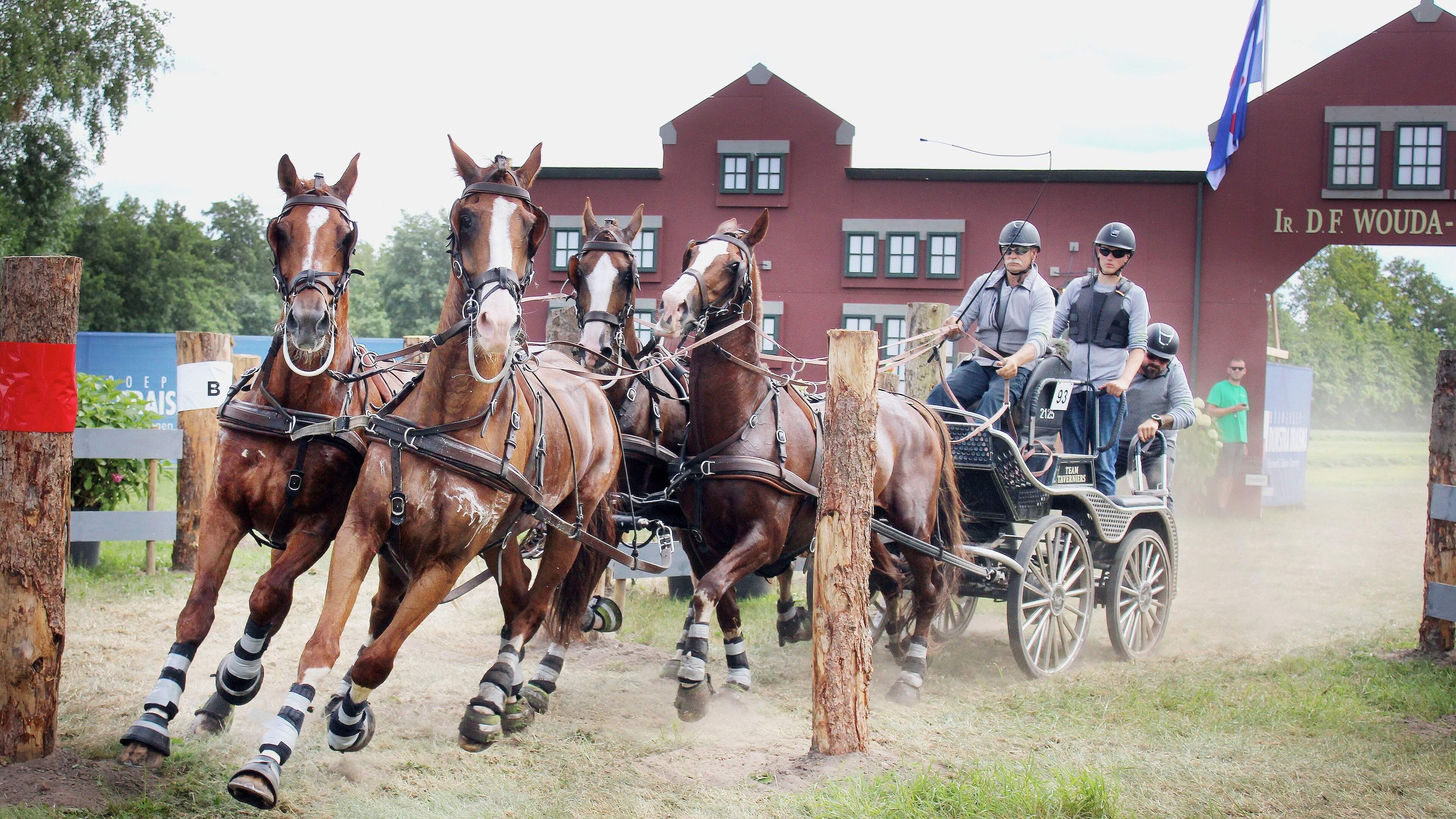 ’Mooiste paardenmarathon van de hele wereld’