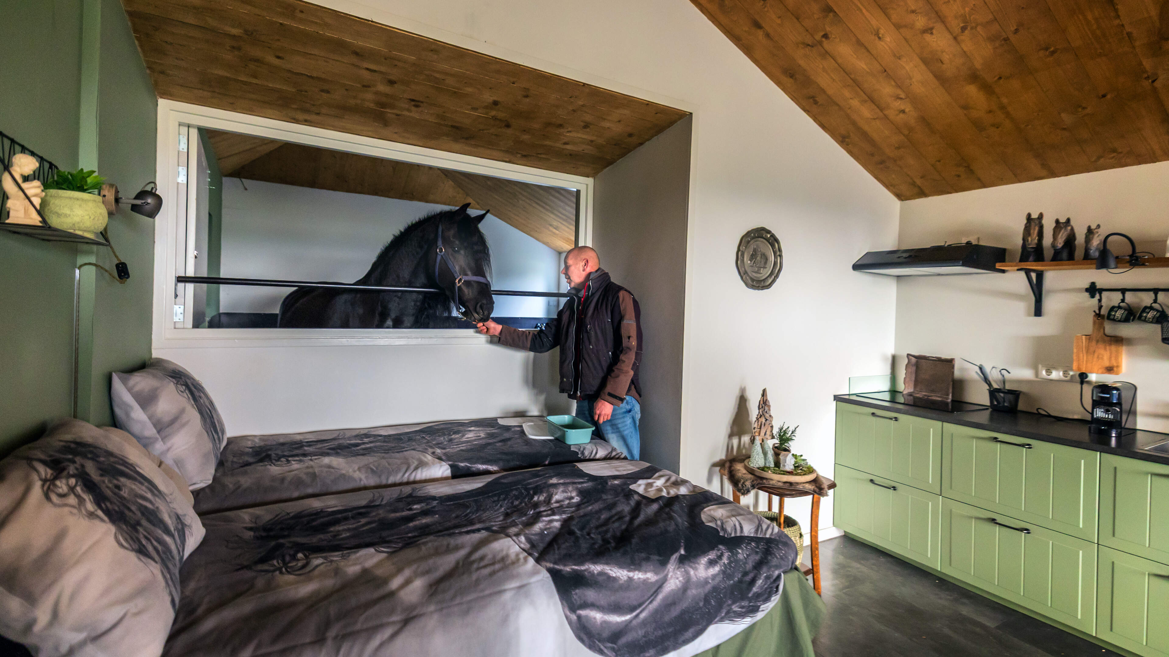 Wakker worden naast een Fries paard? Dat kan sinds kort bij Henk en Jeldau in Sibrandabuorren