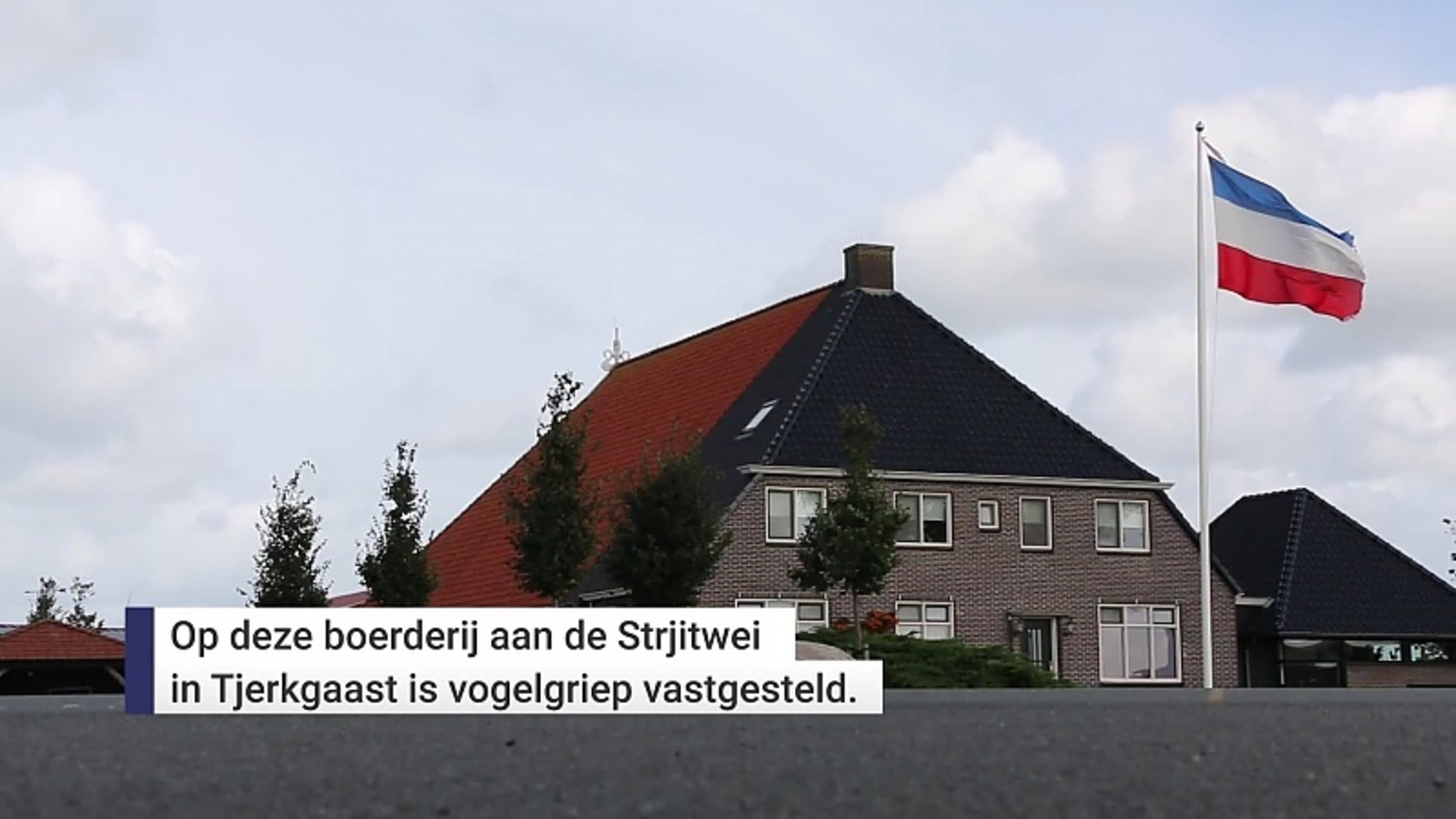 Vogelgriep op pluimveebedrijf in Tjerkgaast