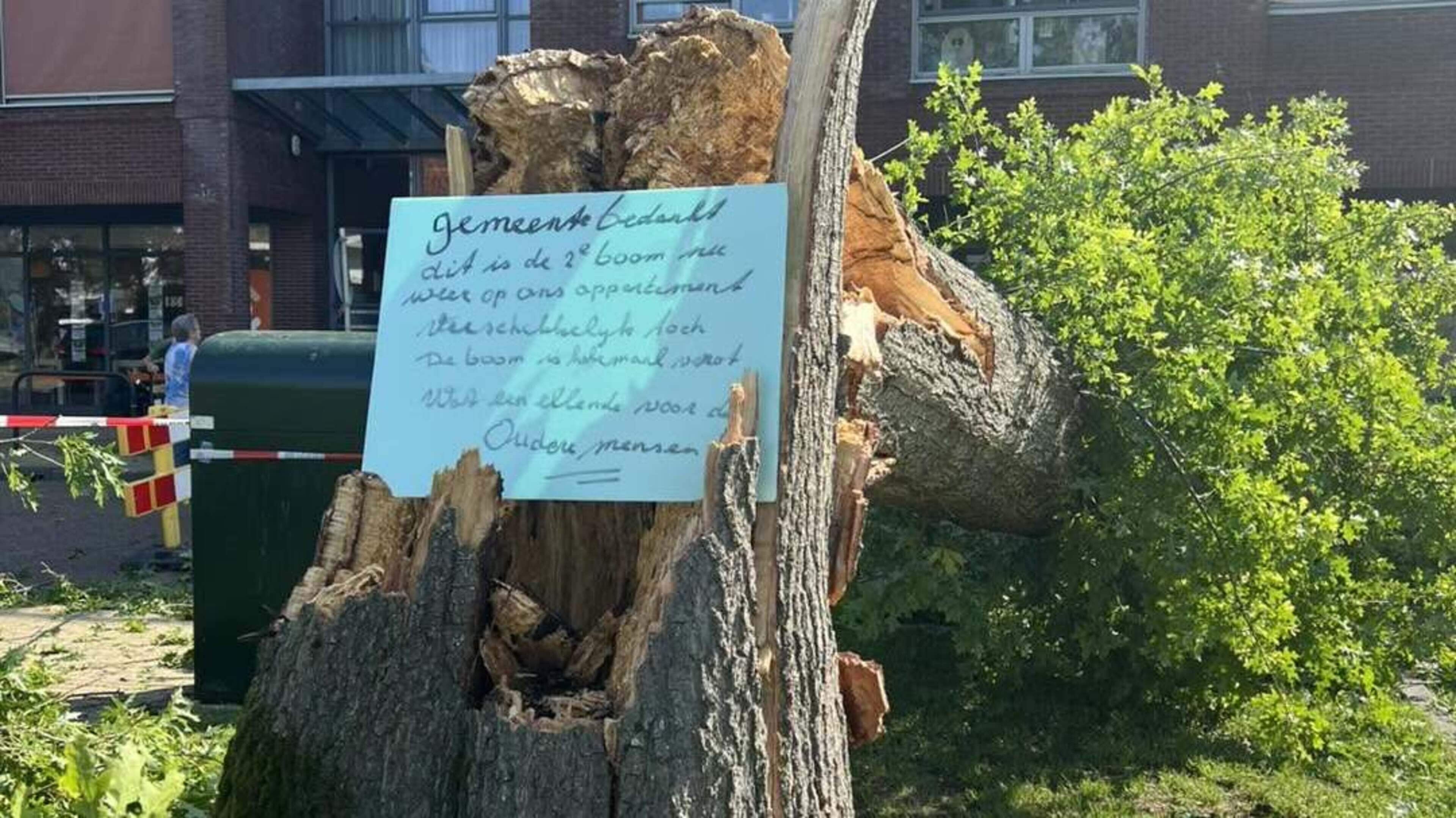 Weer valt een boom op hun dak. Anna (91) uit Wolvega: ‘Ik heb die eik altijd een beetje eng gevonden