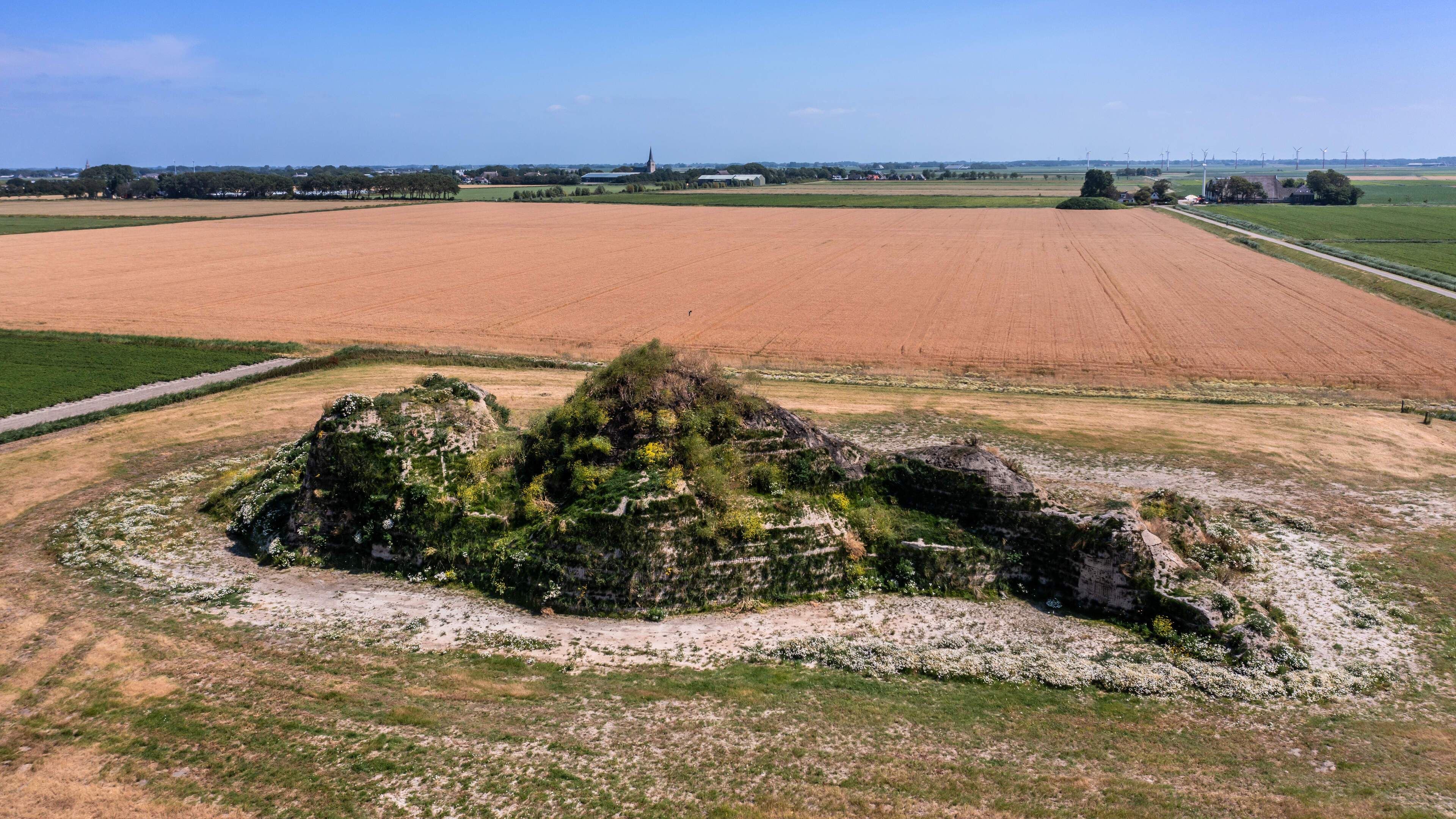 Vlammen slaan uit omstreden ’wildgroei’ op ’levend’ landschapskunstwerk ’Dijk van een wijf’
