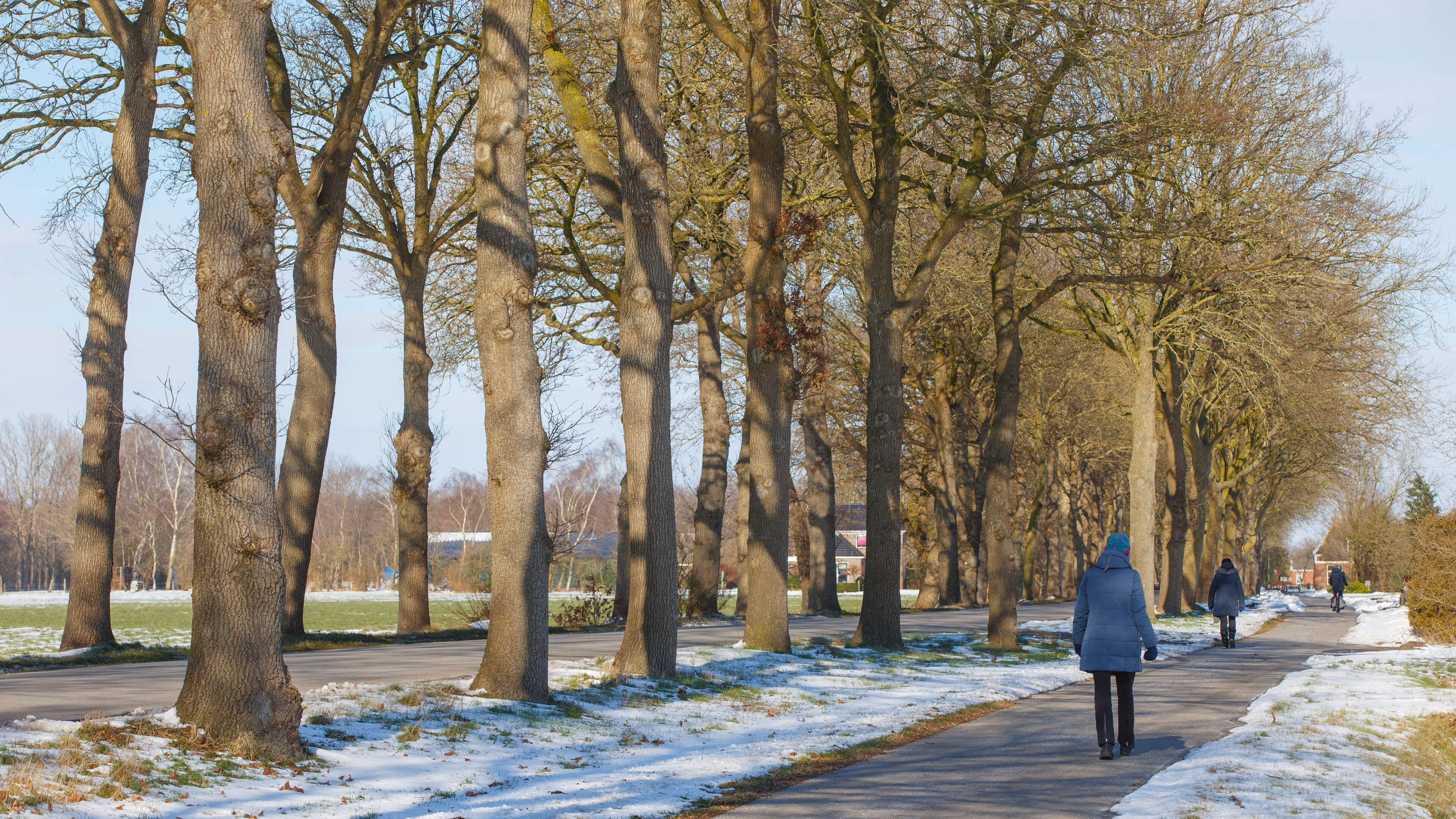 Bacteriën tegen jeukrups leiden tot kaalslag bij andere rupsen