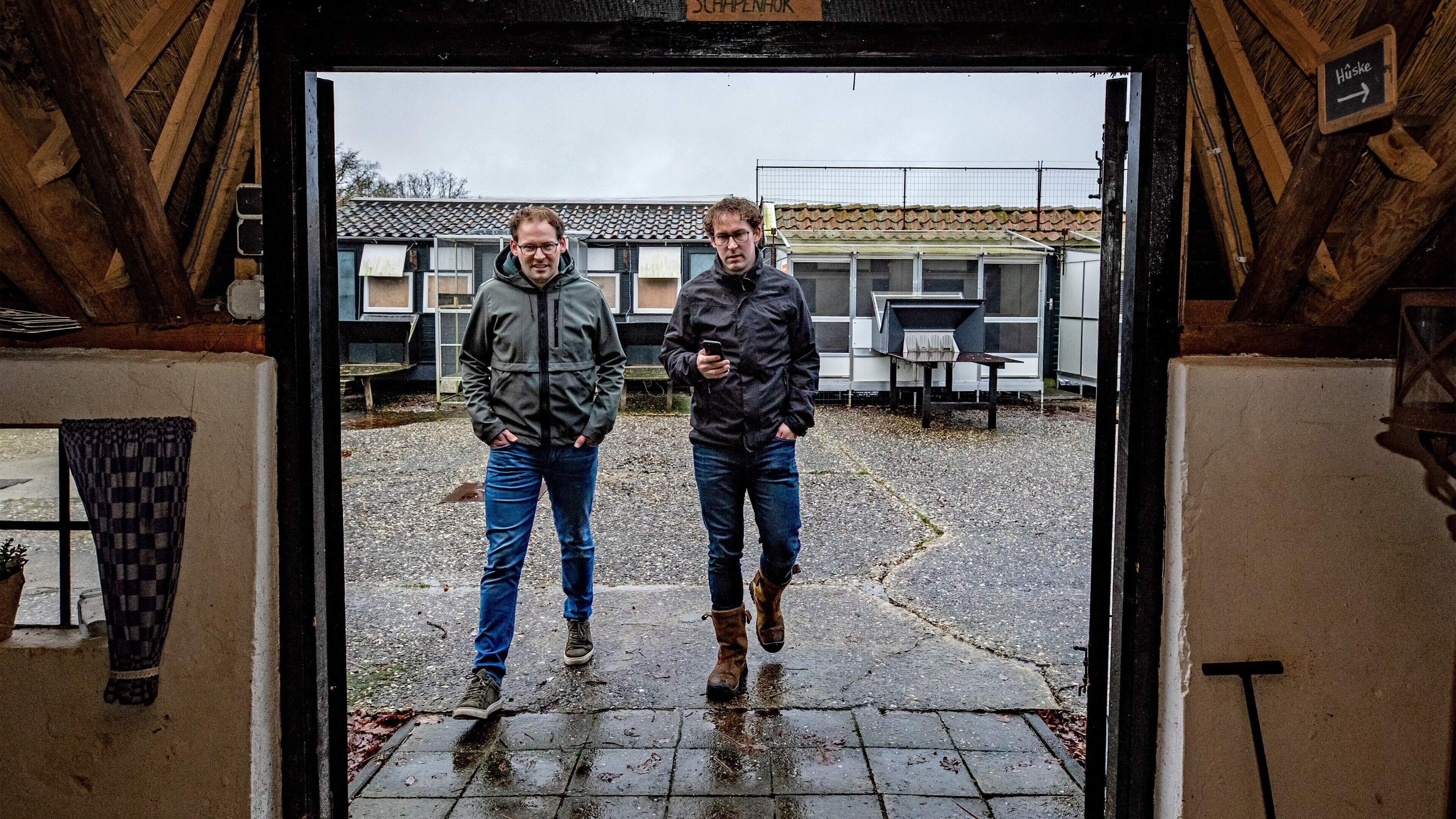 'Wij krijgen hulp uit de hele duiventop'. De broers Homma uit Steggerda weten inmiddels meer over de