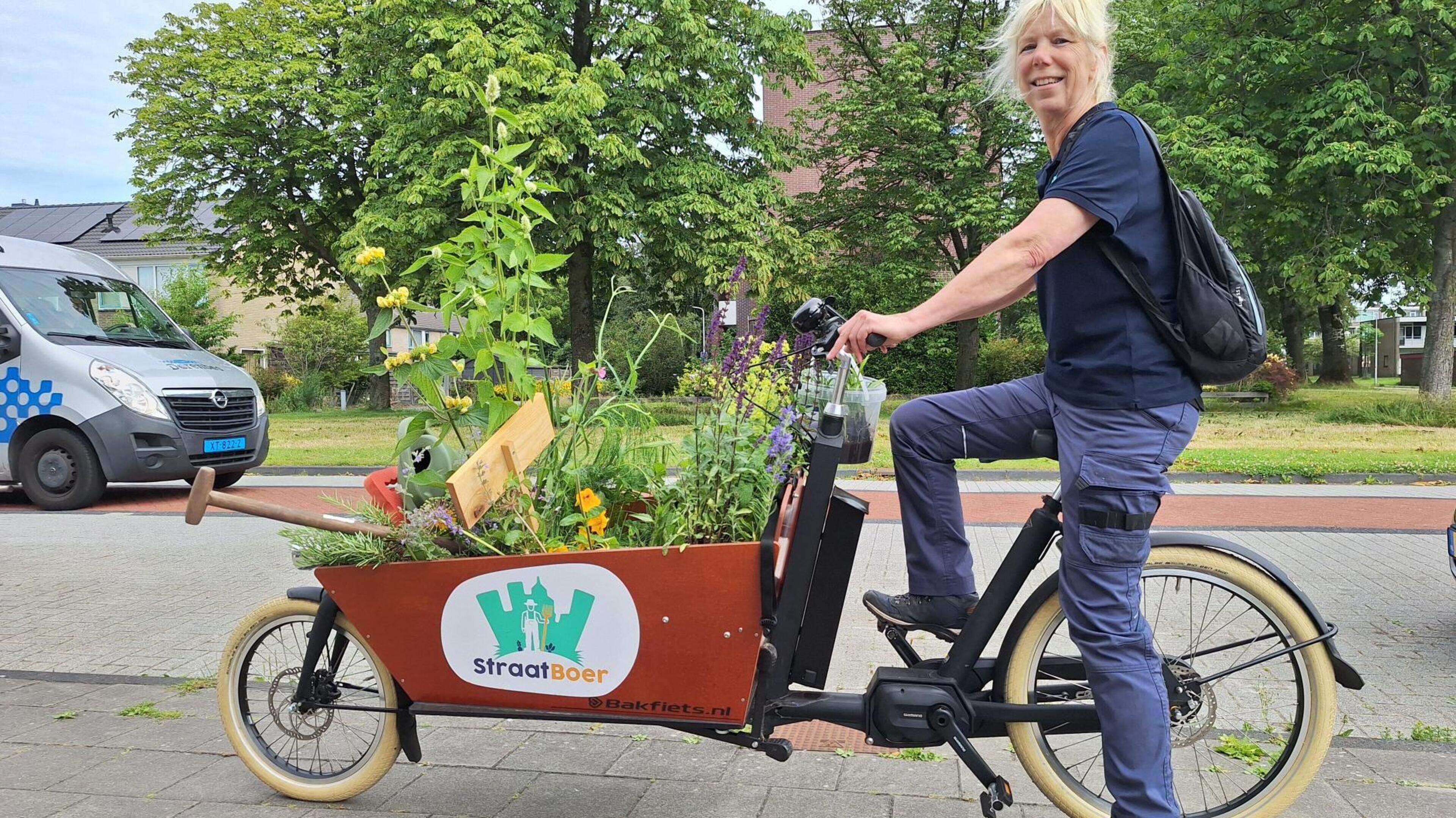 Straatboer Anneke brengt meer groen in Drachten: ’Het steekt aan’