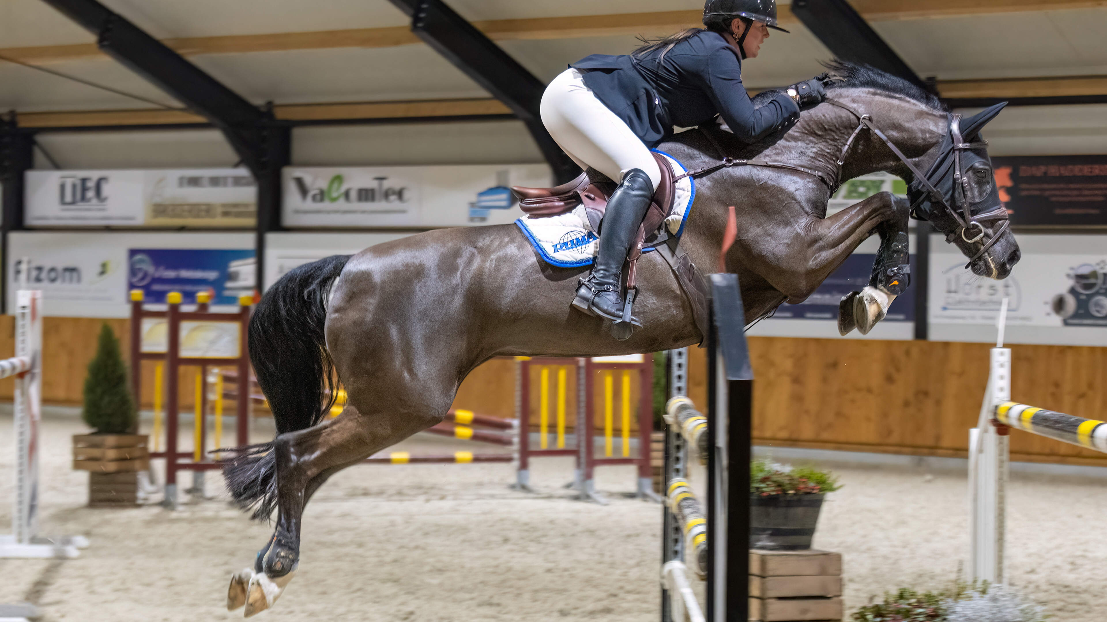 Een enorme wachtlijst tekent het succes van het concours hippique in Oranjewoud