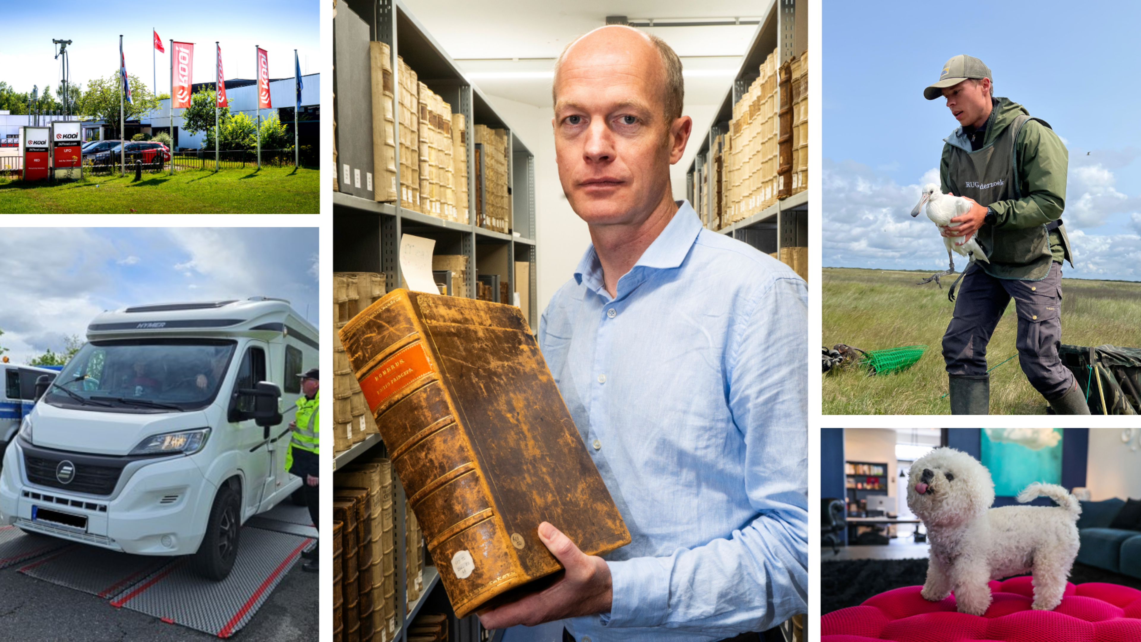 Kooi Security uit Drachten in de clinch met ex-werknemers & lepelaars op Schier hebben vogelgriep | 
