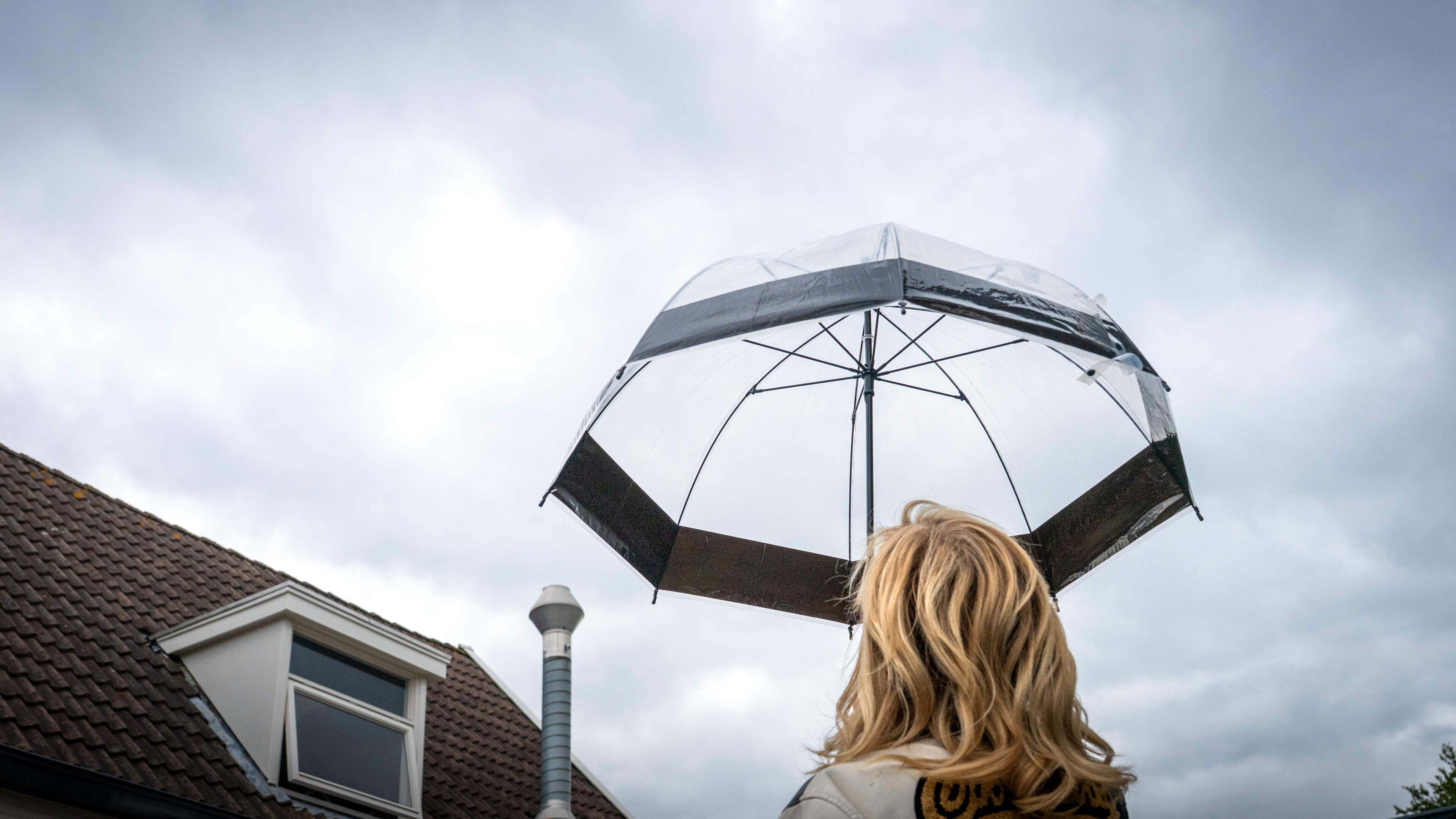 Kappers Drachten met paraplu op naar het werk om aanvallen van nestelend visdievenpaar te pareren