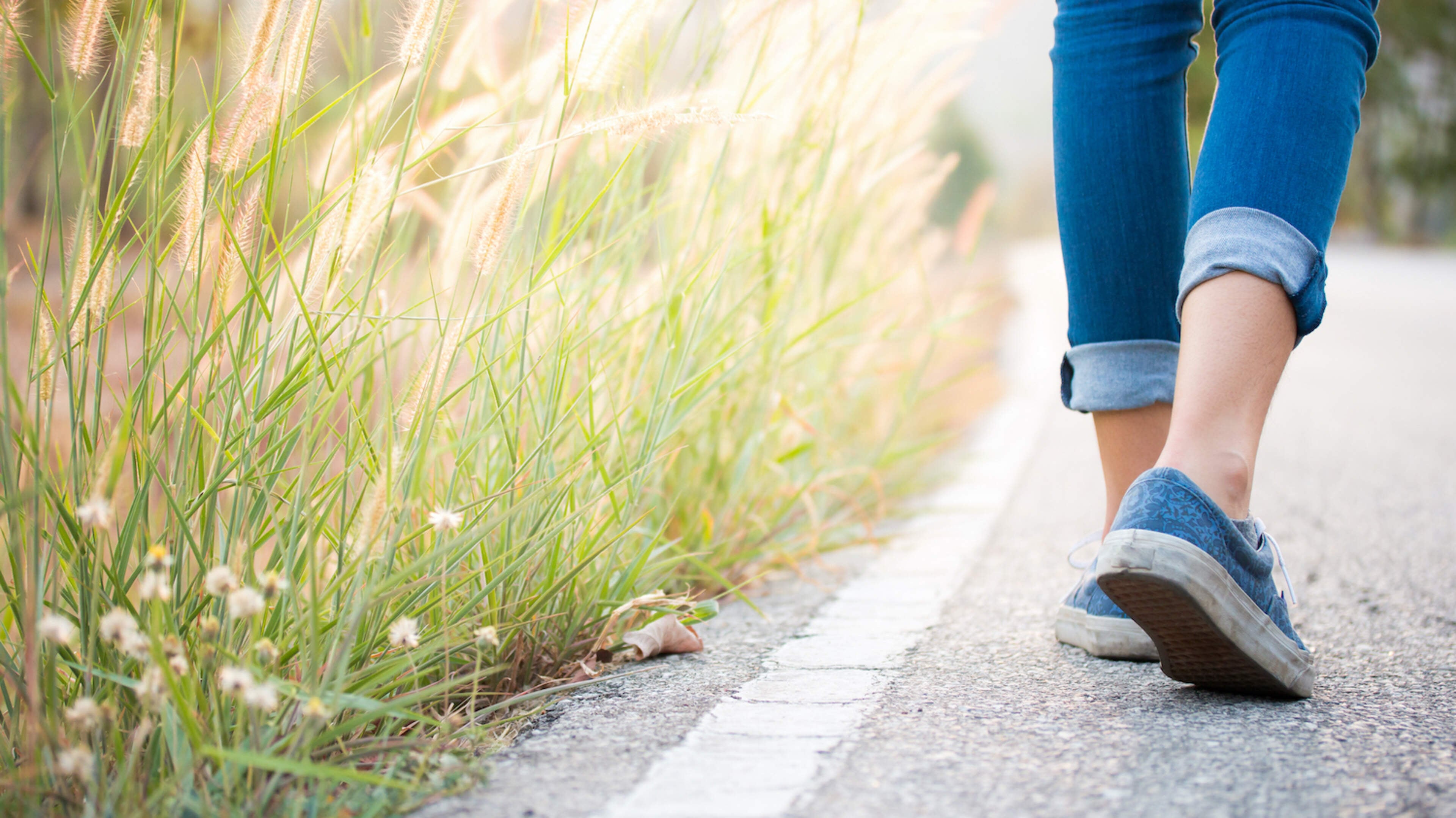 Plannen voor wandelroute op voormalige spoorlijn tussen Harlingen en Minnertsga