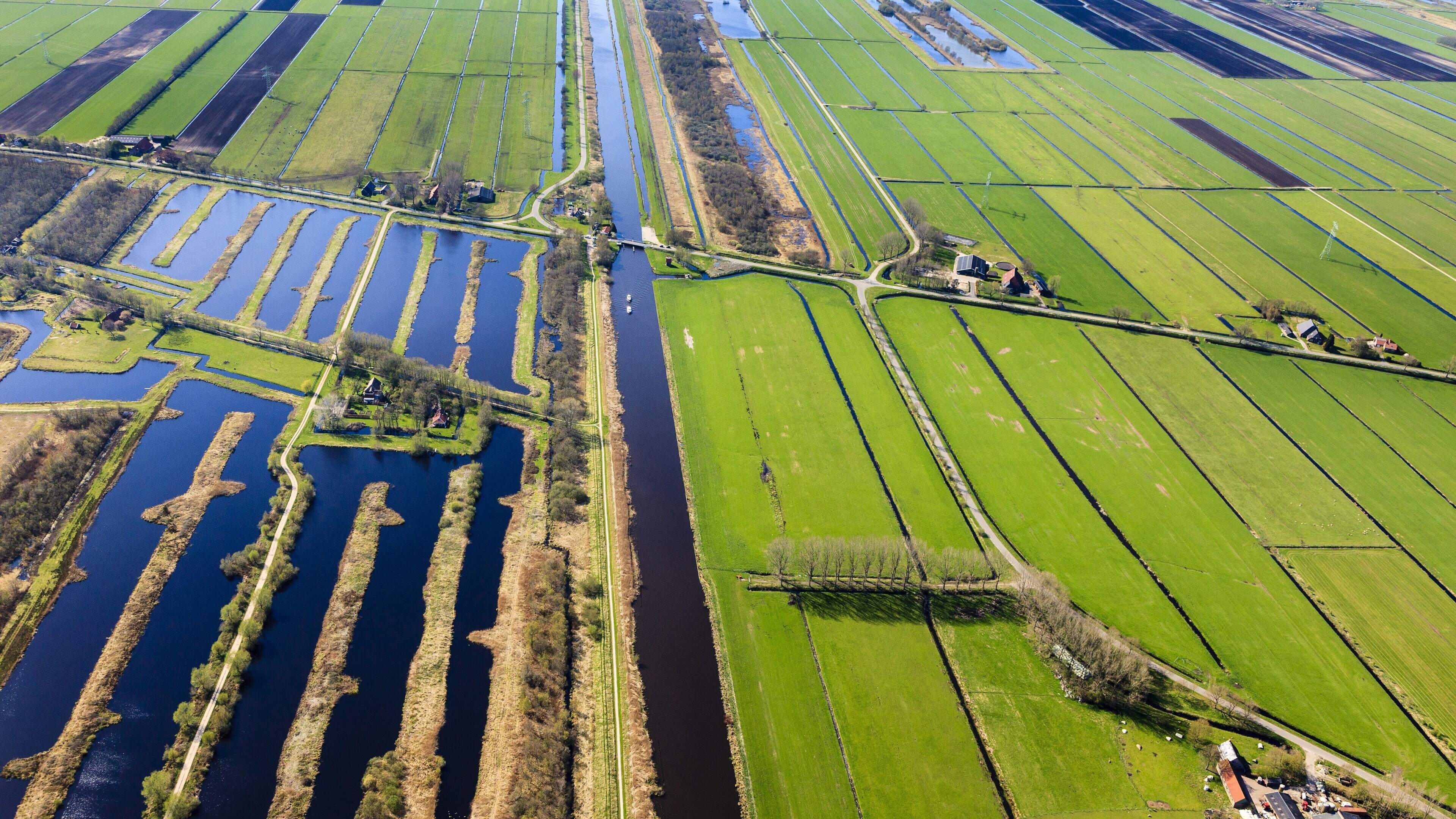 Provincie Friesland wil van stikstofzones af. ’Wy binne hjir seker net entûsjast oer’