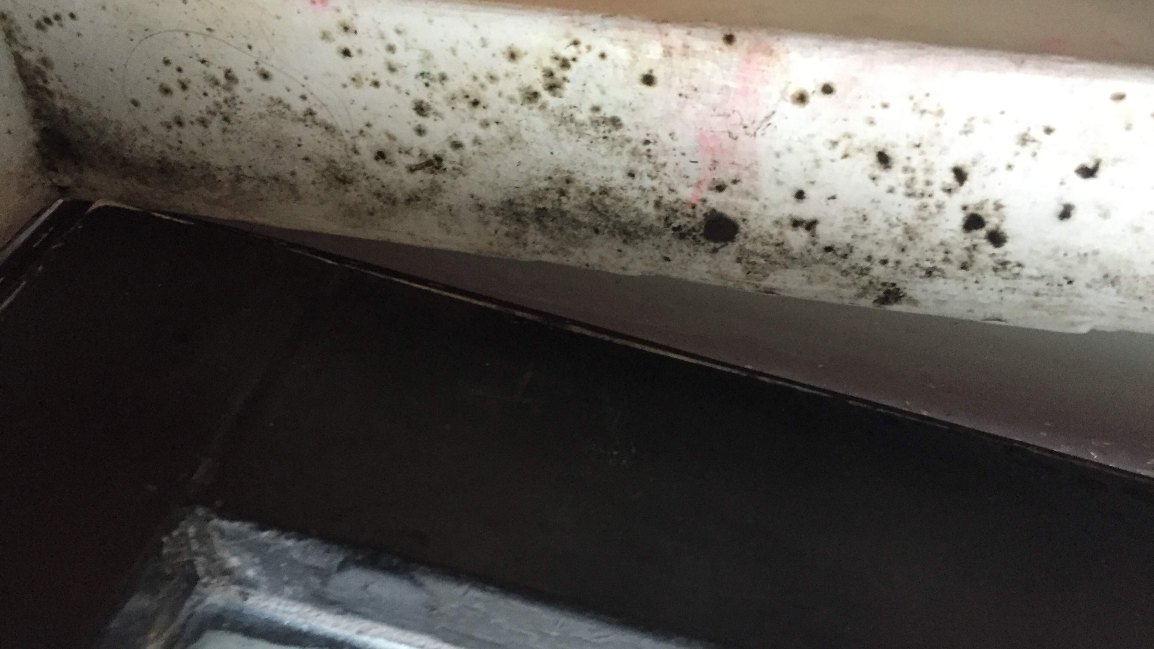Toilet Franeker school zit vol schimmel: uitgebreid gezondheidsonderzoek gestart