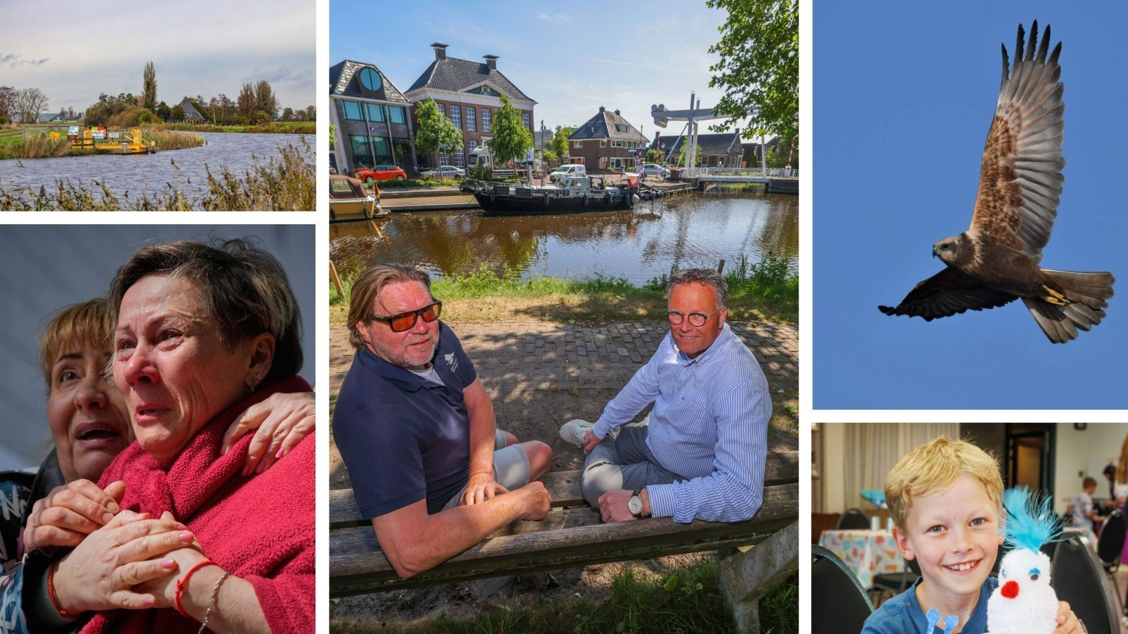 Twee personen aangehouden voor leegroven nesten bruine kiekendieven & onveilige pont Rotstergaast bl