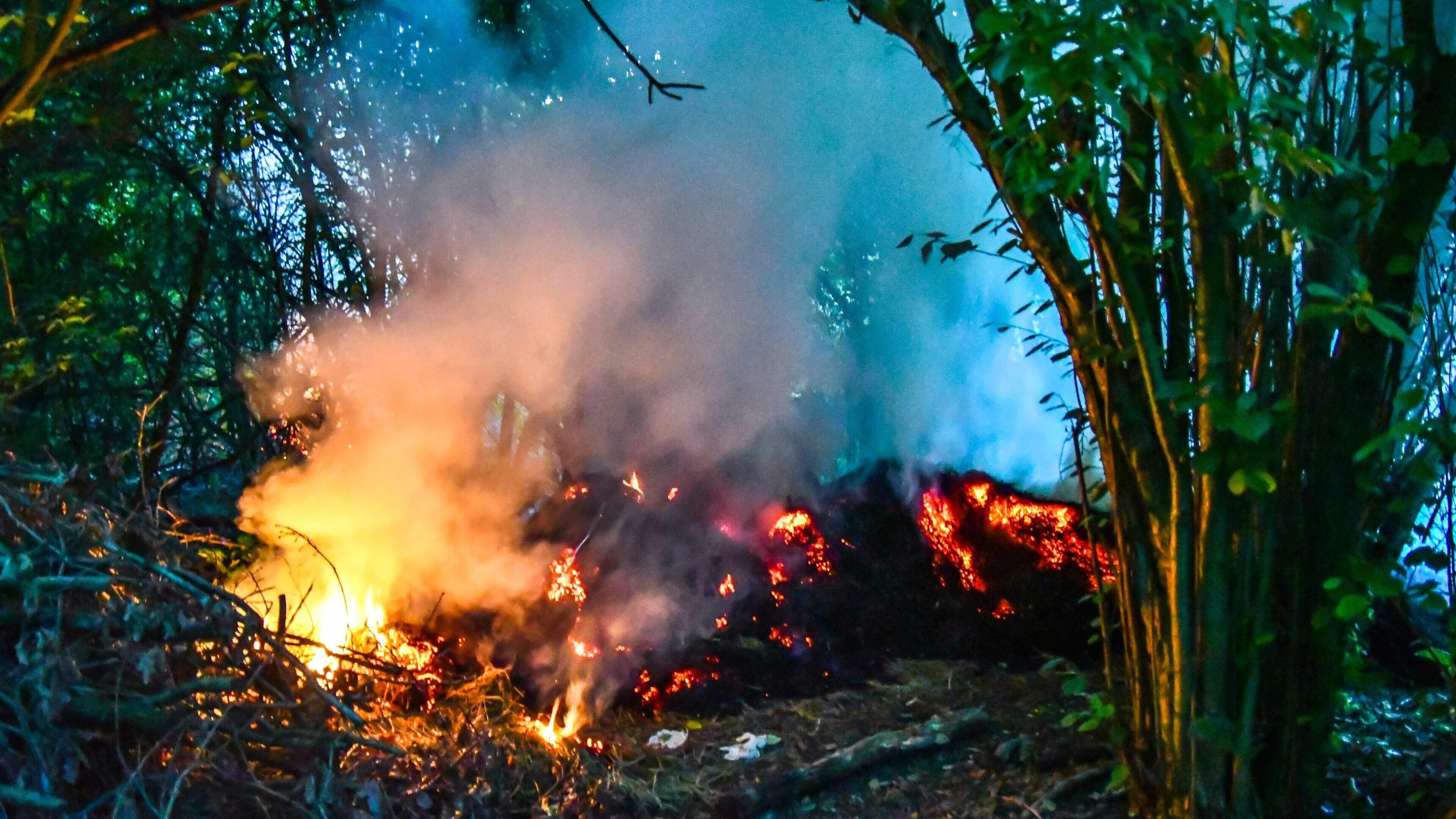 Grasbulten in brand in Leeuwarder Bos & man (29) bedreigd met mes en beroofd in Franeker