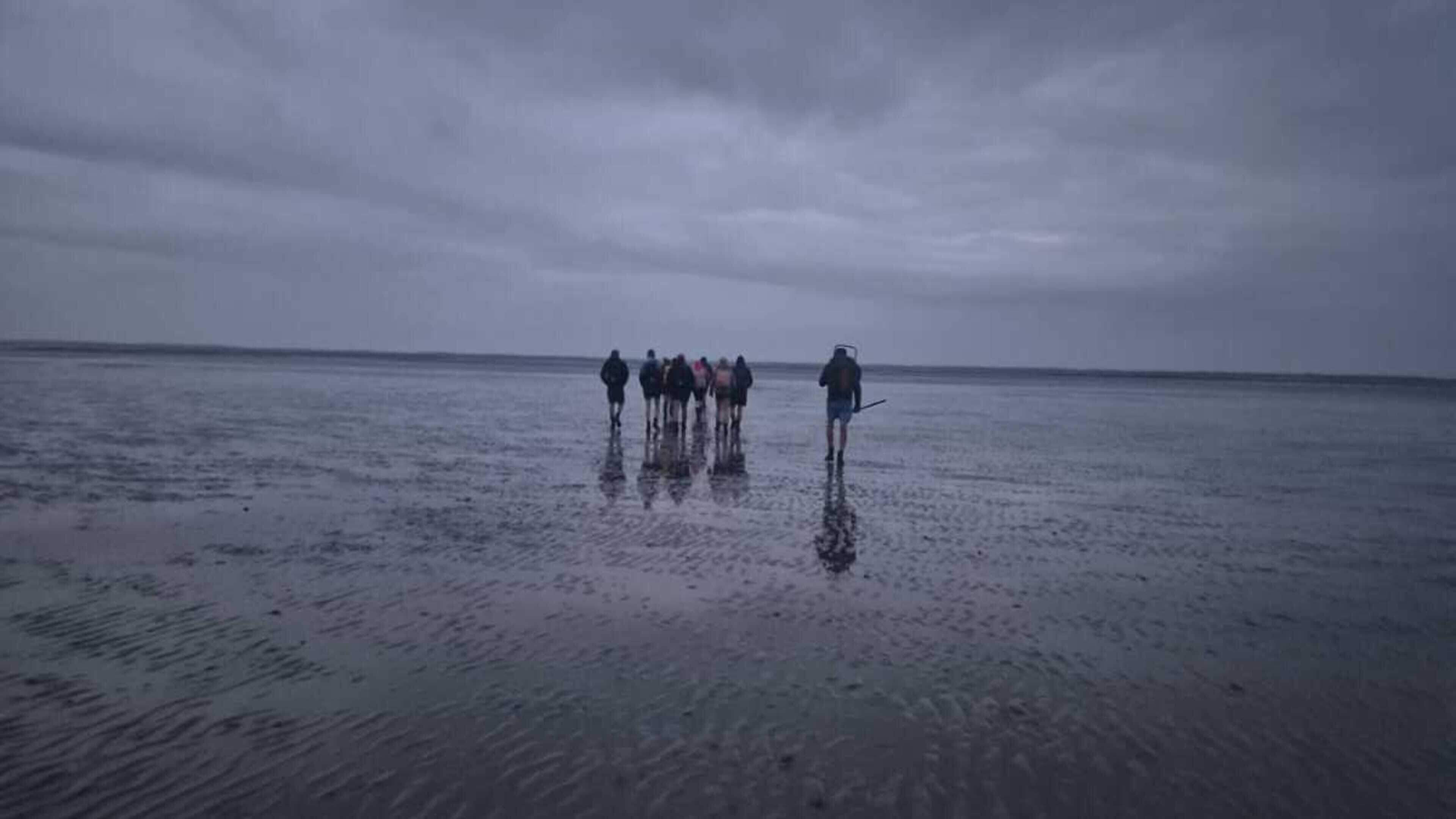 Geen verwijt aan organisatie Wadlooptocht Ameland na reddingsactie. ‘Dit oerkomt je’