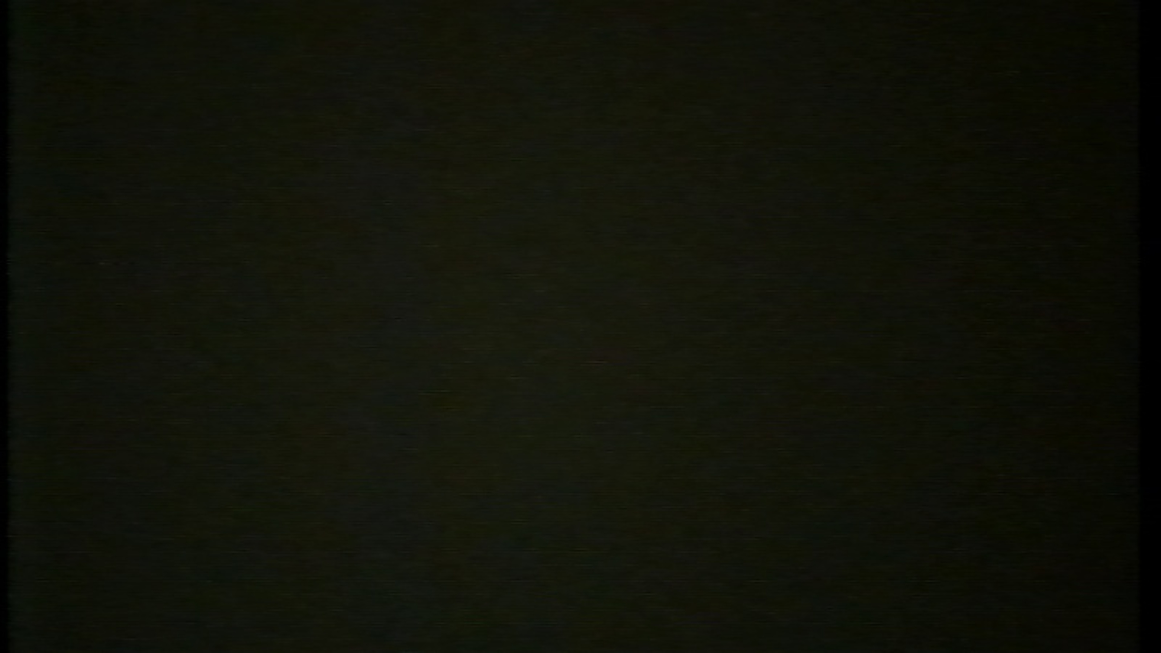 Film van toen dorpsfilm Lippenhuizen