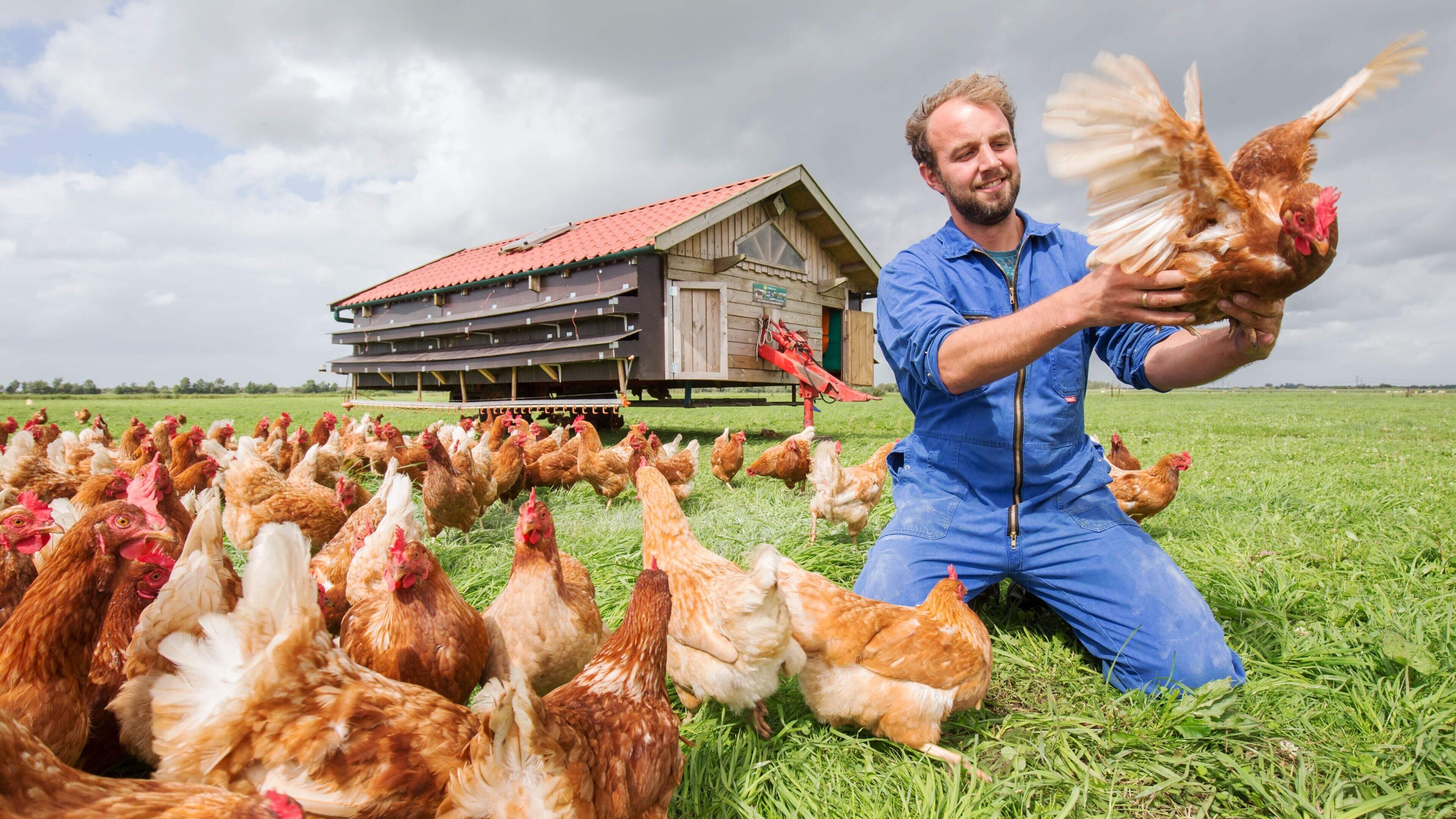 Verkoop wijn en nootjes kost Boer Bart mogelijk enorm bedrag aan dwangsommen
