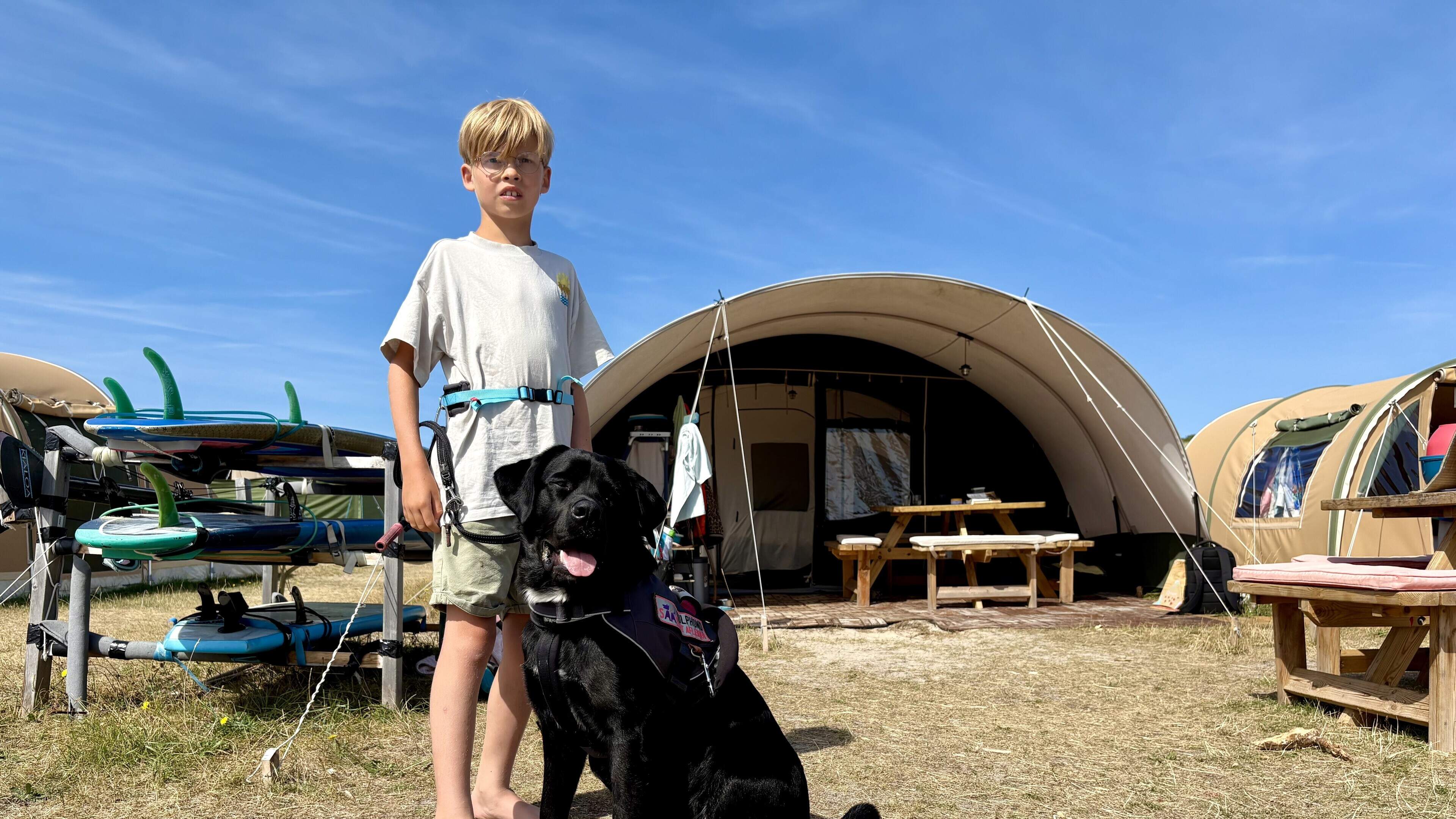 Tommie is de enige hond die op camping Stortemelk op Vlieland komt en dit is waarom