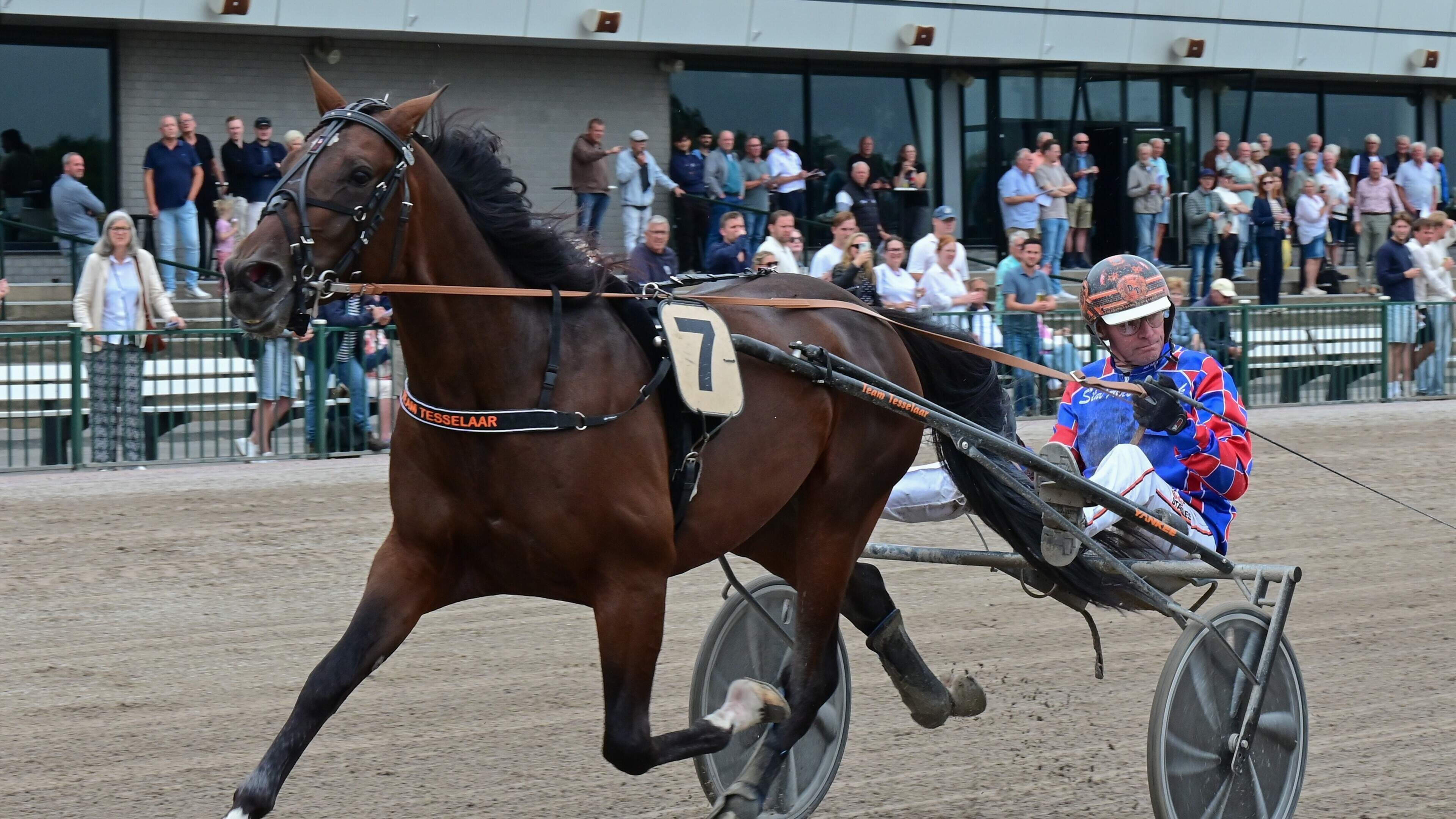 Winst en verlies voor trainer Dion Tesselaar tijdens Sweepstakes