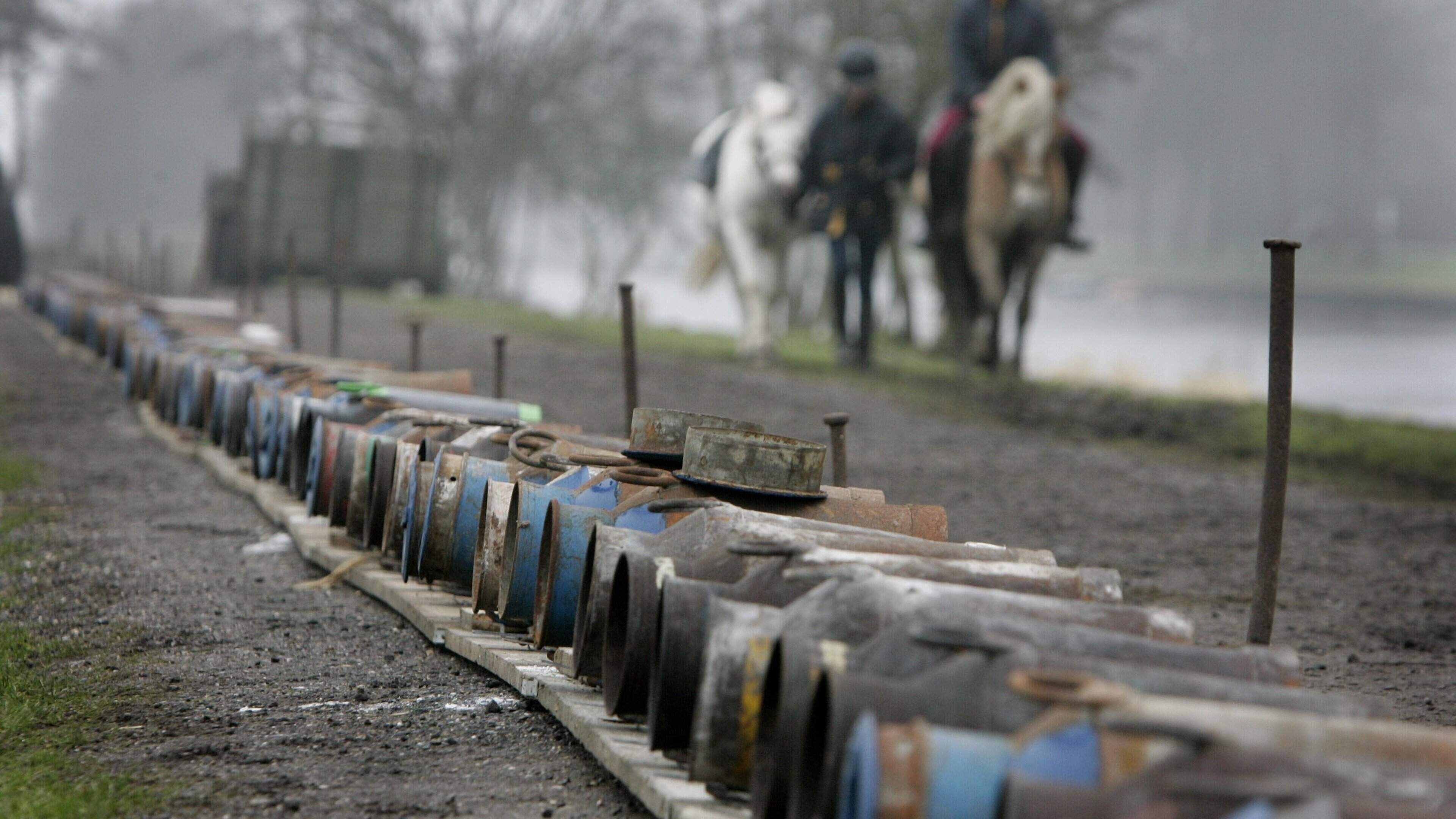 Rechter wijst verbod carbidschieten bij paardenstallen in Noordwolde af