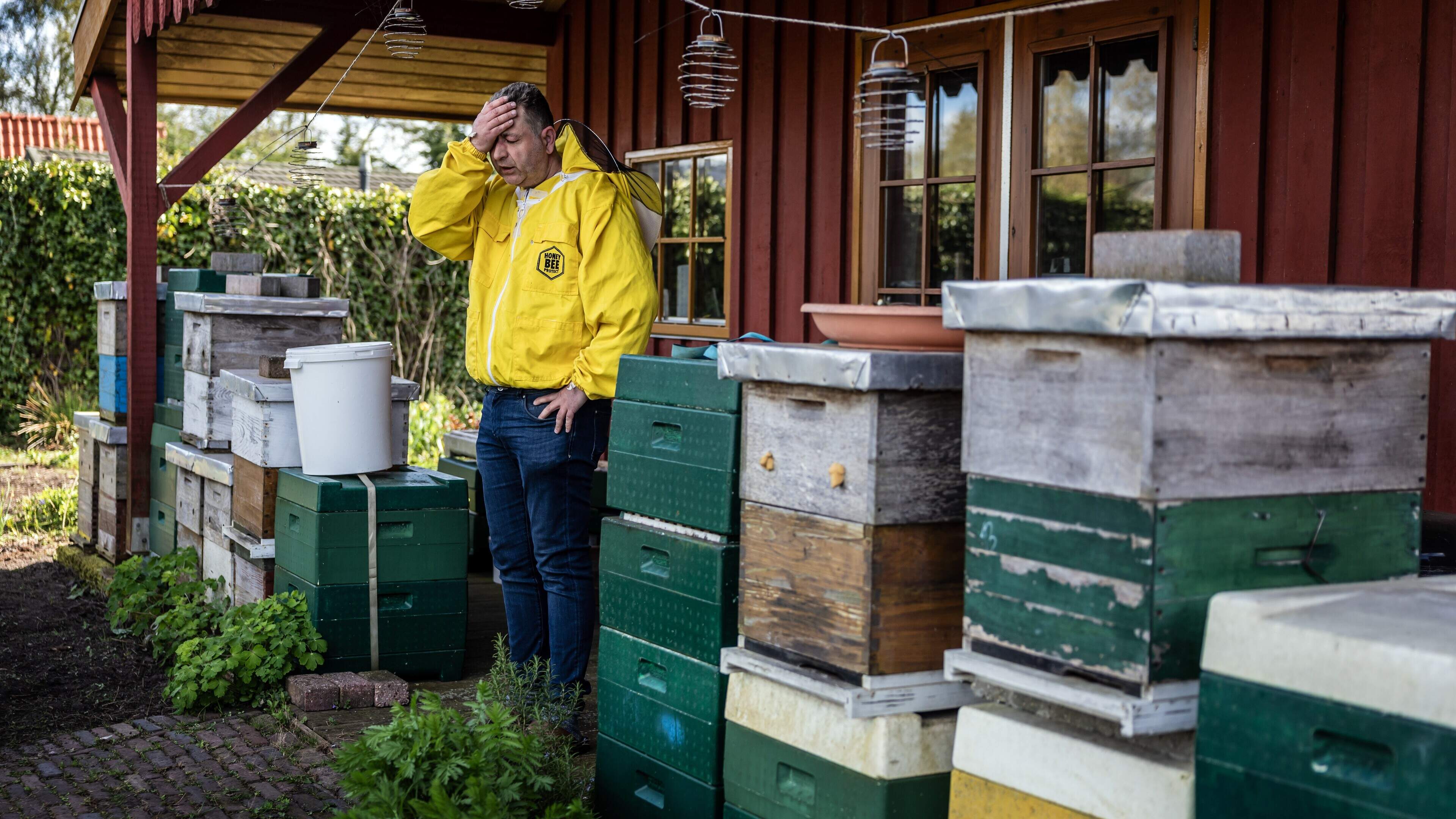 Daders van vernielde bijenkasten van imker Peter (51) uit Rohel melden zich, gaan helpen repareren
