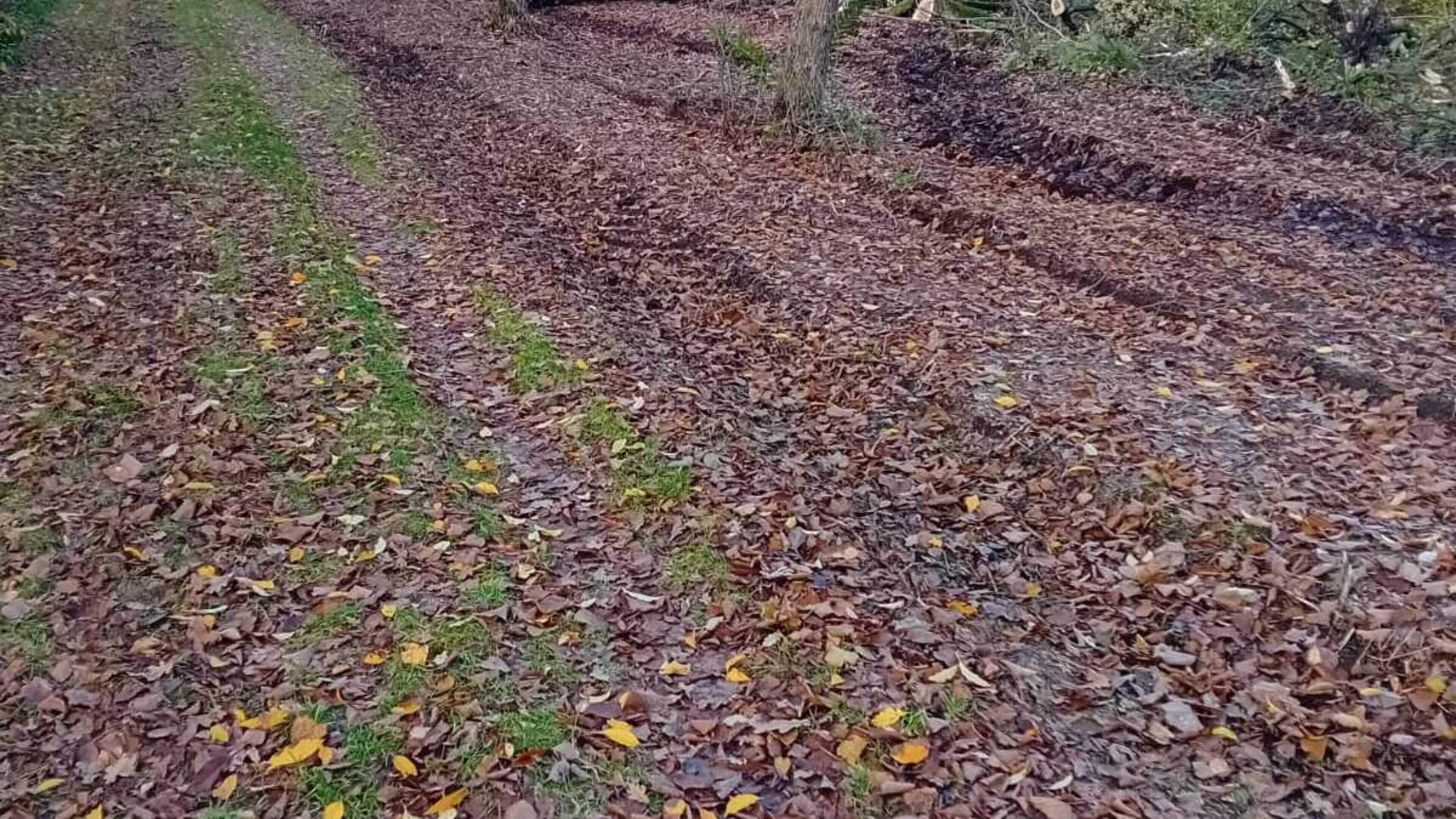 Berisping voor Staatsbosbeheer wegens werk rond dassenburcht