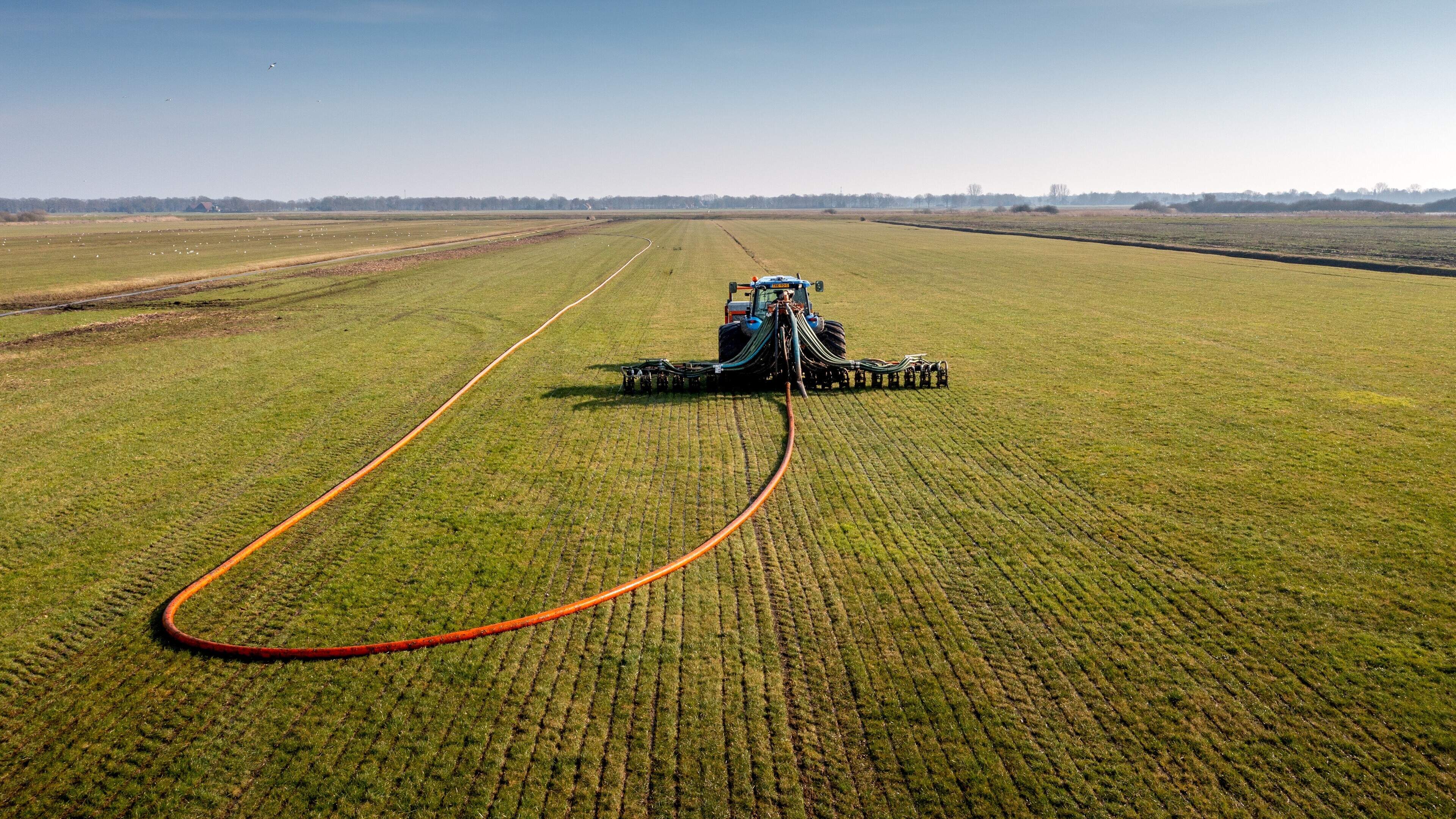 Kraaiende haan en mestgeur wordt in Stellingwerven niet in beleid vastgelegd