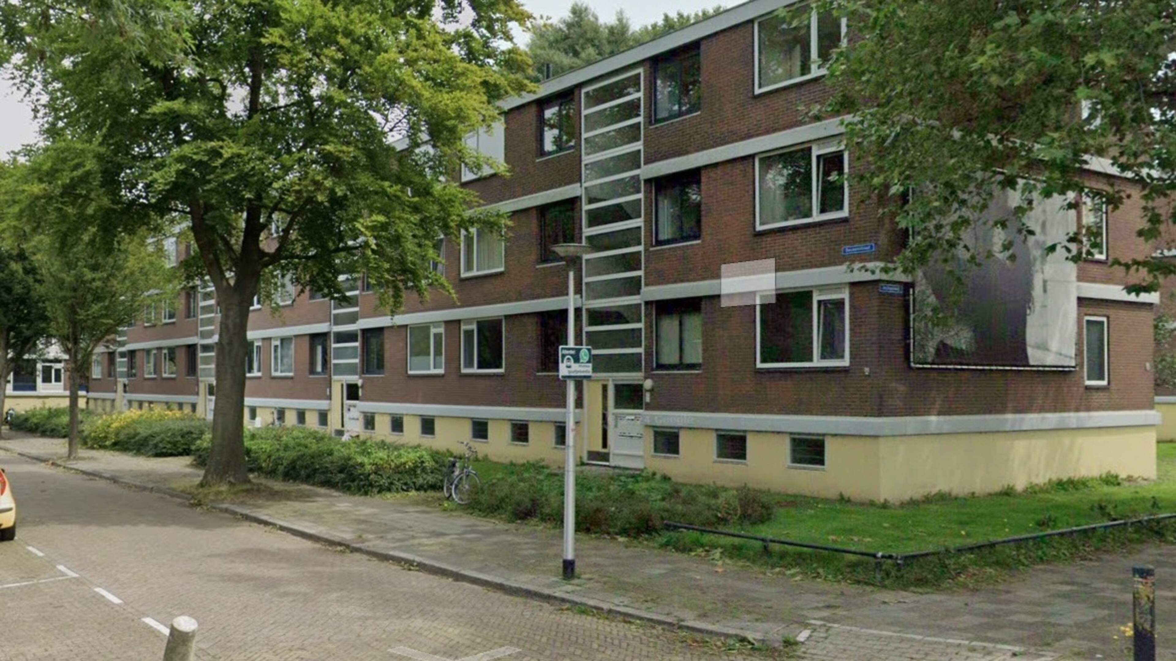 Voor bouw in wijk Heechterp in Leeuwarden worden 56 bomen gekapt, groen beeld Archipelweg blijft