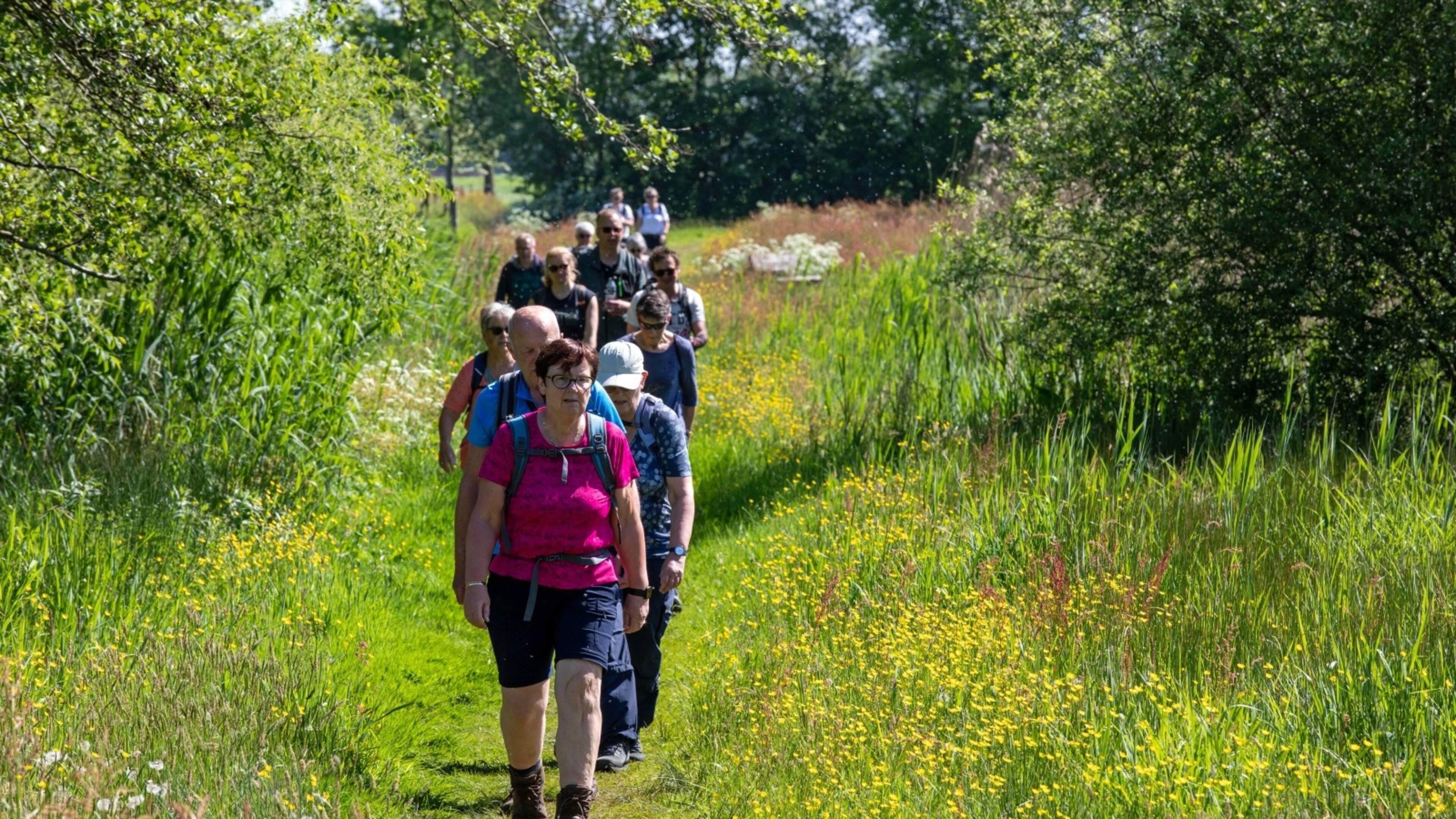Zestiende editie 3 Provinciën Wandeltocht vanuit Bakkeveen